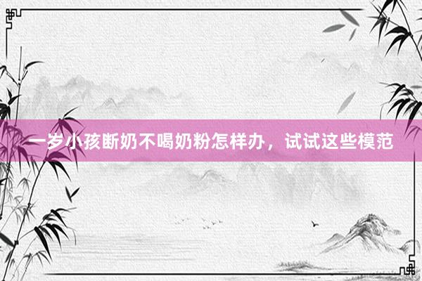 一岁小孩断奶不喝奶粉怎样办，试试这些模范