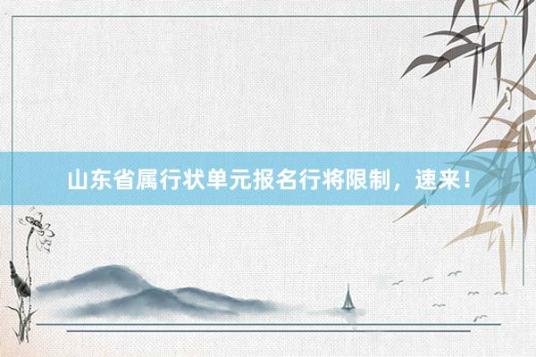 山东省属行状单元报名行将限制，速来！